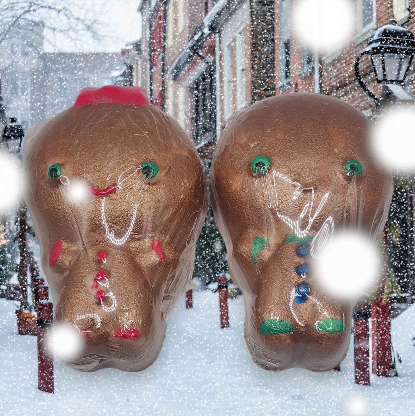 Ginger Twins Unite!